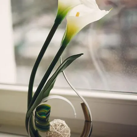 Aleda Galaxy 슈체친