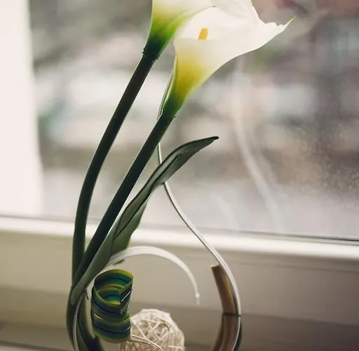 Aleda Galaxy Στσέτσιν